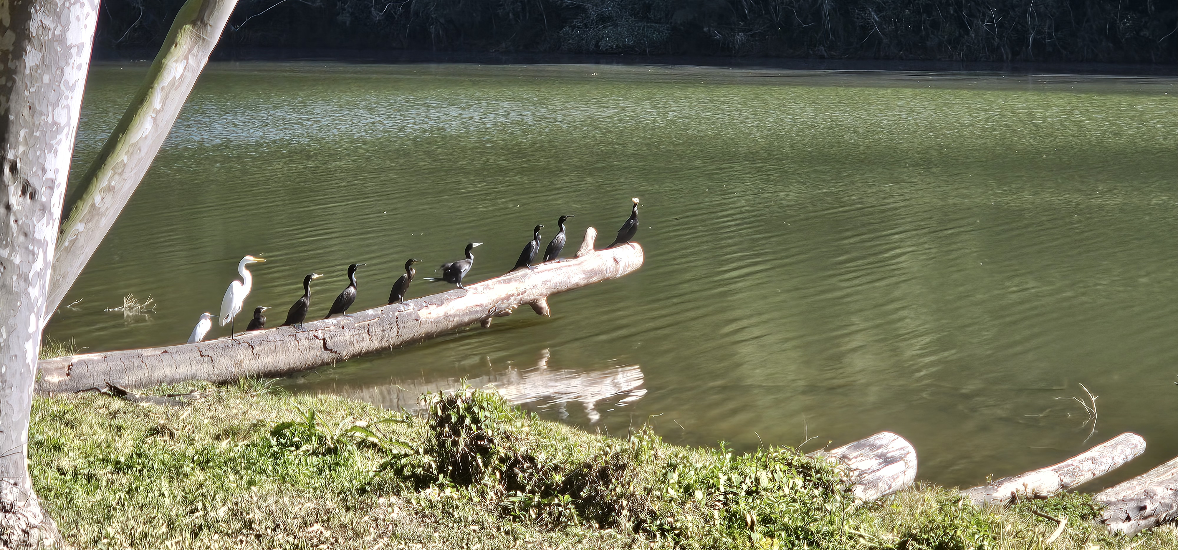 Natureza no Vale das Fontes