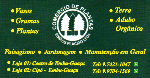 Plantas Irmãos Plácido